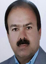 دکتر حسین حسین نژاد