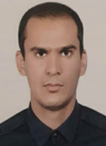 دکتر سید محمد حسینی